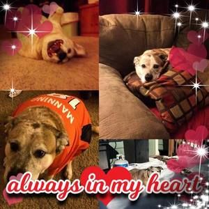 Meet your Posher, Julie